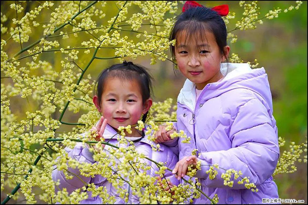 【春天，广西桂林灌阳县向您发出邀请！】米珠山前有片山苍子花在飘香 - 游山玩水 - 朔州生活社区 - 朔州28生活网 shuozhou.28life.com