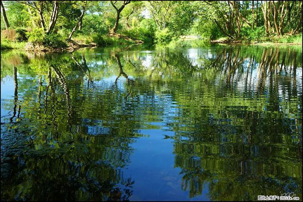 【春天，广西桂林灌阳县向您发出邀请！】熊家寨湿地公园 - 游山玩水 - 朔州生活社区 - 朔州28生活网 shuozhou.28life.com