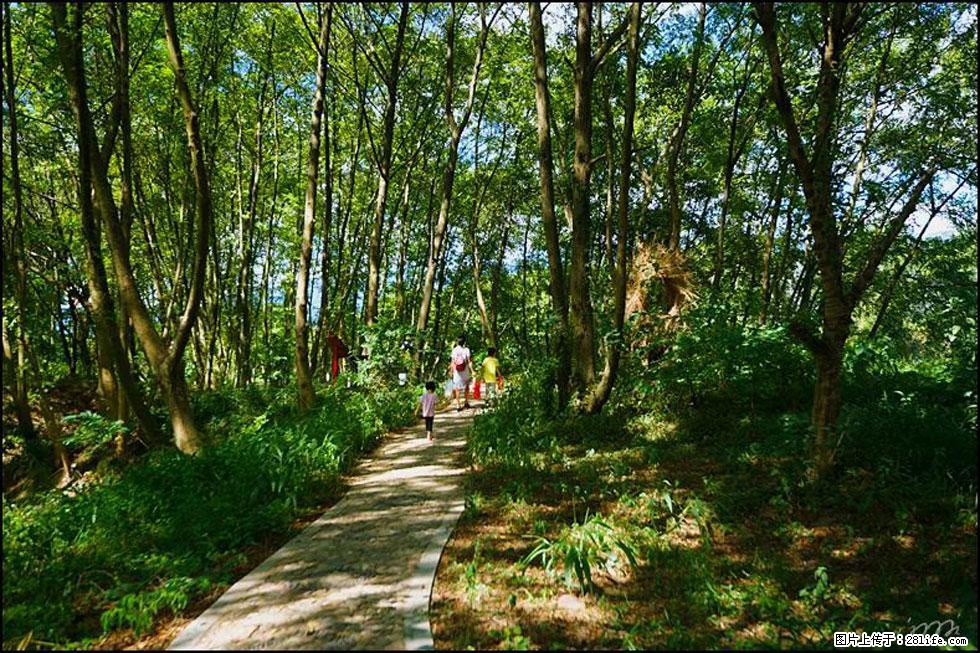 【春天,广西桂林灌阳县向您发出邀请!】熊家寨湿地公园 - 游山玩水 - 朔州生活社区 - 朔州28生活网 shuozhou.28life.com