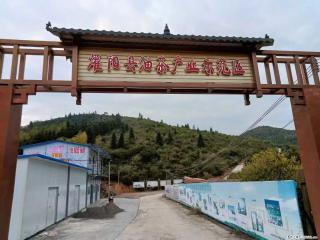 【灌阳县油茶产业示范区】一个有着充实的精神生活的人，对待身外之物自会有一种淡泊的态度 - 朔州28生活网 shuozhou.28life.com