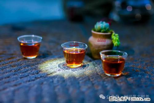 时间果百年古树2025年春红茶 - 购物交流 - 朔州生活社区 - 朔州28生活网 shuozhou.28life.com