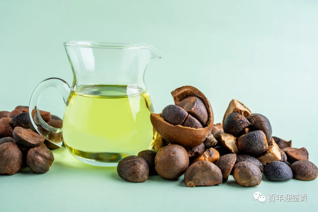 世界没有真相，只有认知，最好的食用油是中国的山茶油！ - 朔州生活资讯 - 朔州28生活网 shuozhou.28life.com