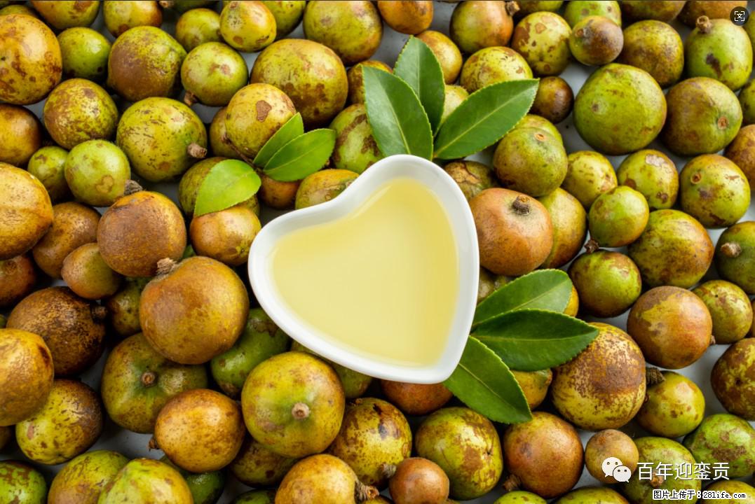 世界没有真相，只有认知，最好的食用油是中国的山茶油！ - 朔州生活资讯 - 朔州28生活网 shuozhou.28life.com