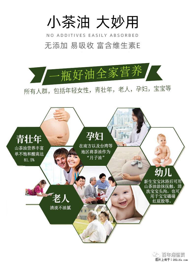 世界没有真相，只有认知，最好的食用油是中国的山茶油！ - 朔州生活资讯 - 朔州28生活网 shuozhou.28life.com