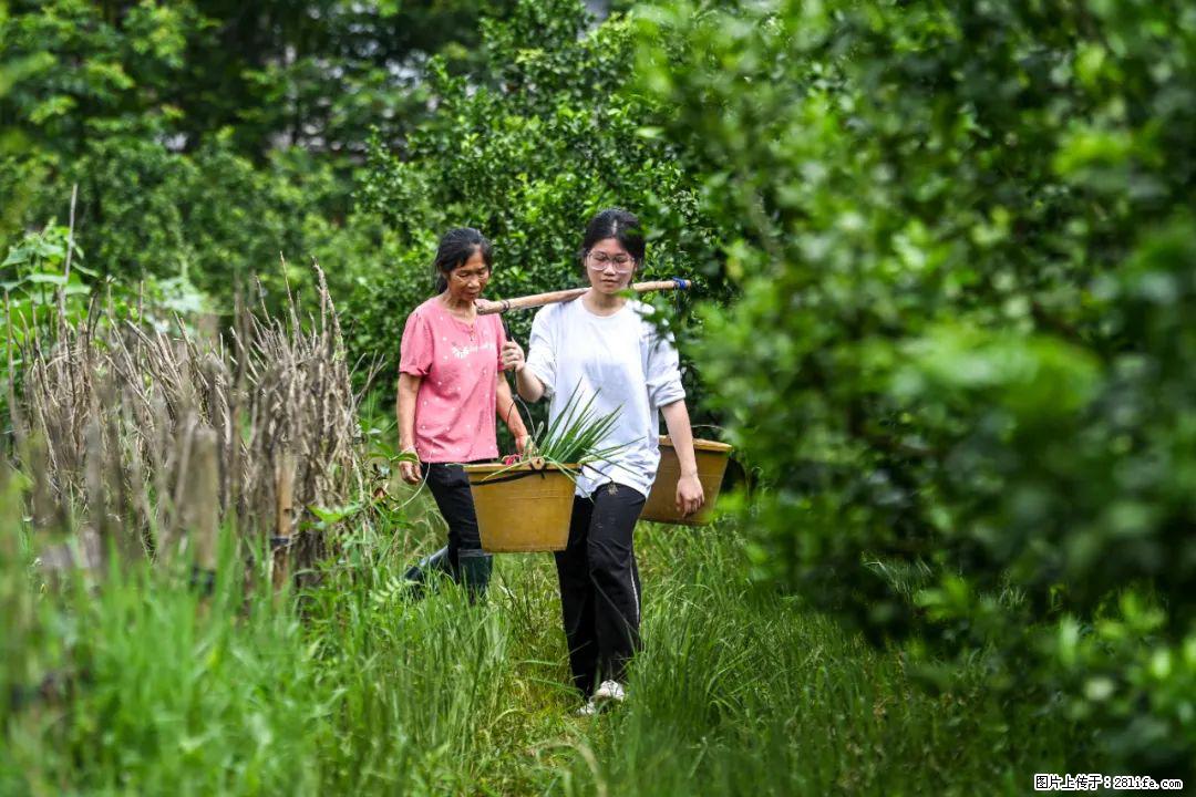 全网追的“扁担女孩”，找了一份暑假工，时薪12元 - 朔州生活资讯 - 朔州28生活网 shuozhou.28life.com