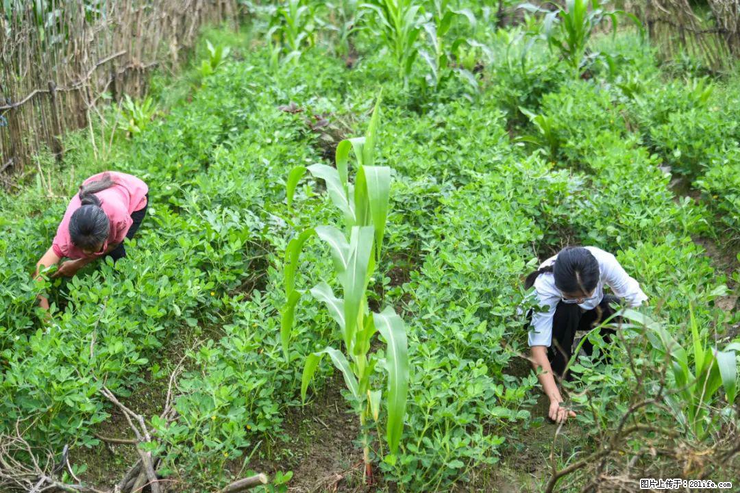 全网追的“扁担女孩”，找了一份暑假工，时薪12元 - 朔州生活资讯 - 朔州28生活网 shuozhou.28life.com