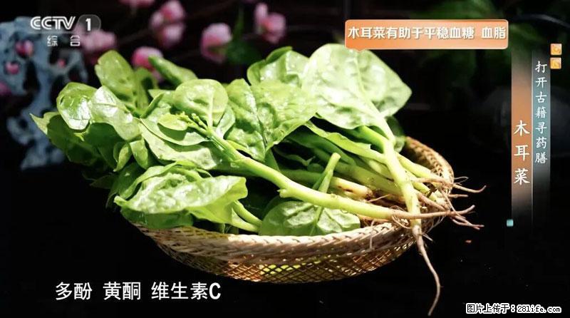 比牛奶补钙还厉害！凉血解毒、稳血糖...这菜冬天必吃，很多人却当草 - 朔州生活资讯 - 朔州28生活网 shuozhou.28life.com