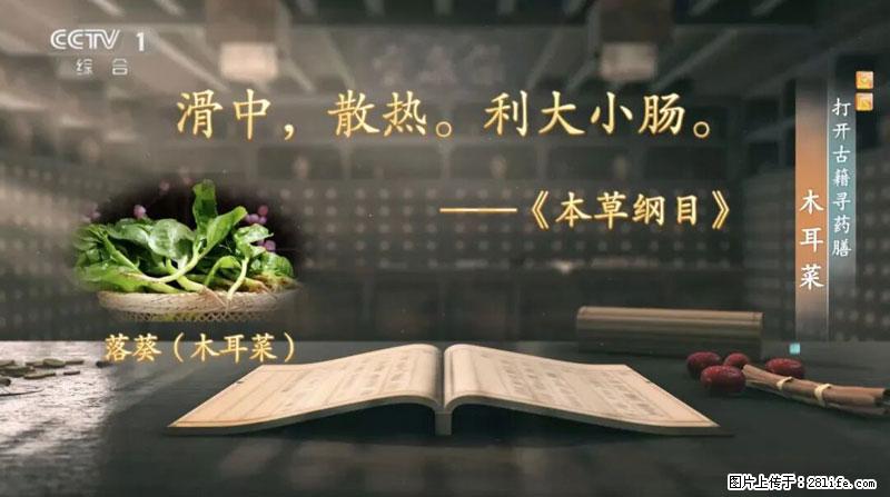 比牛奶补钙还厉害！凉血解毒、稳血糖...这菜冬天必吃，很多人却当草 - 朔州生活资讯 - 朔州28生活网 shuozhou.28life.com