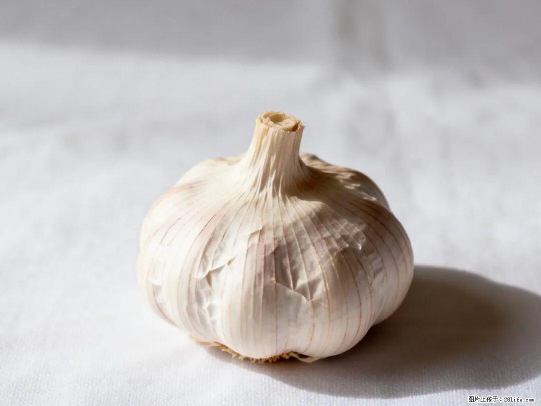 关于大蒜,除了“天然抗生素”,这4个谣言更该警惕! - 朔州生活资讯 - 朔州28生活网 shuozhou.28life.com