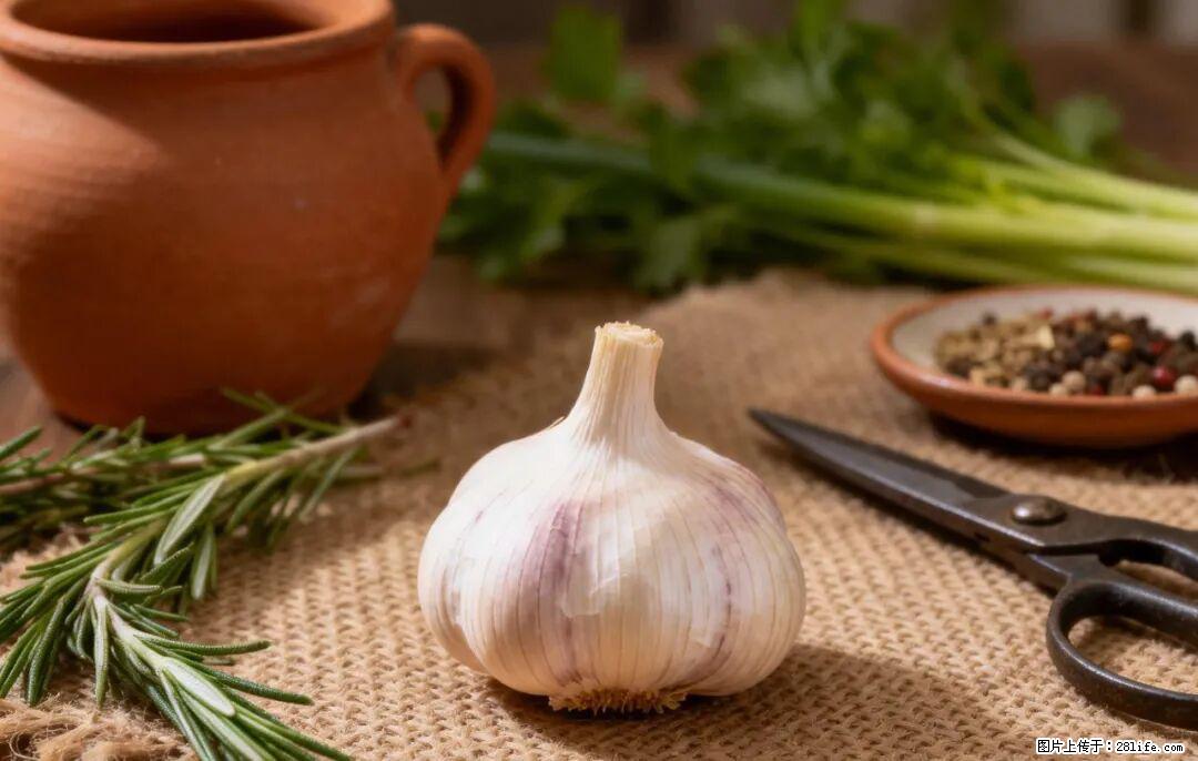 关于大蒜,除了“天然抗生素”,这4个谣言更该警惕! - 朔州生活资讯 - 朔州28生活网 shuozhou.28life.com