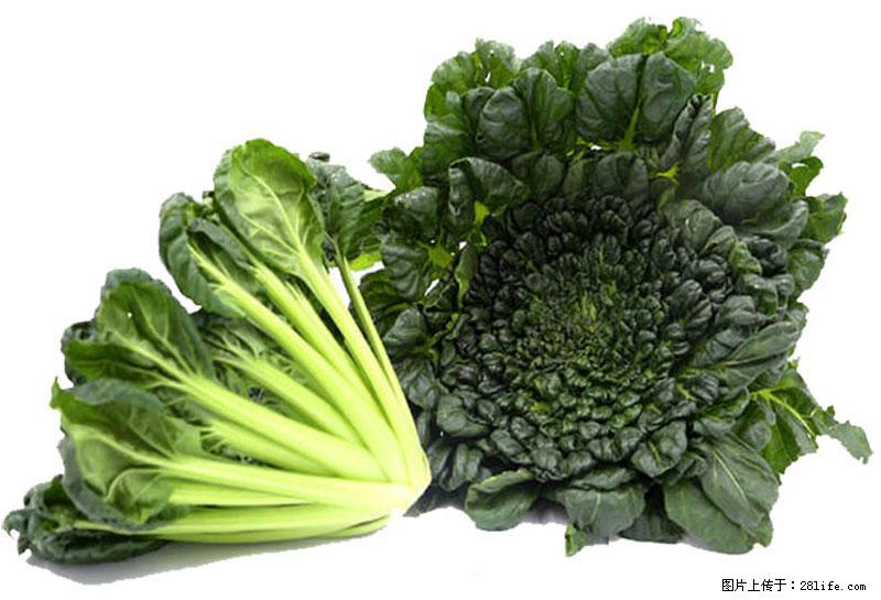 这些蔬菜是“天然钙片”，这6种被医生重点推荐 - 朔州生活资讯 - 朔州28生活网 shuozhou.28life.com