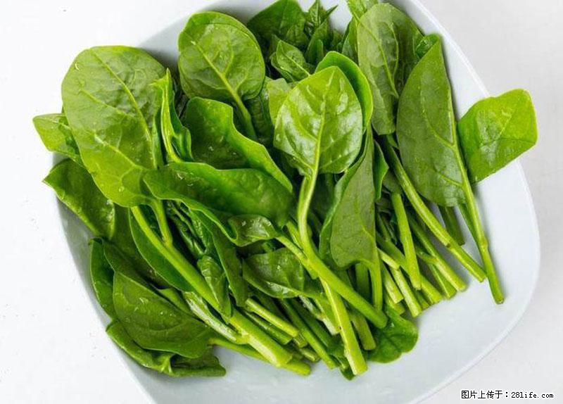 这些蔬菜是“天然钙片”，这6种被医生重点推荐 - 朔州生活资讯 - 朔州28生活网 shuozhou.28life.com