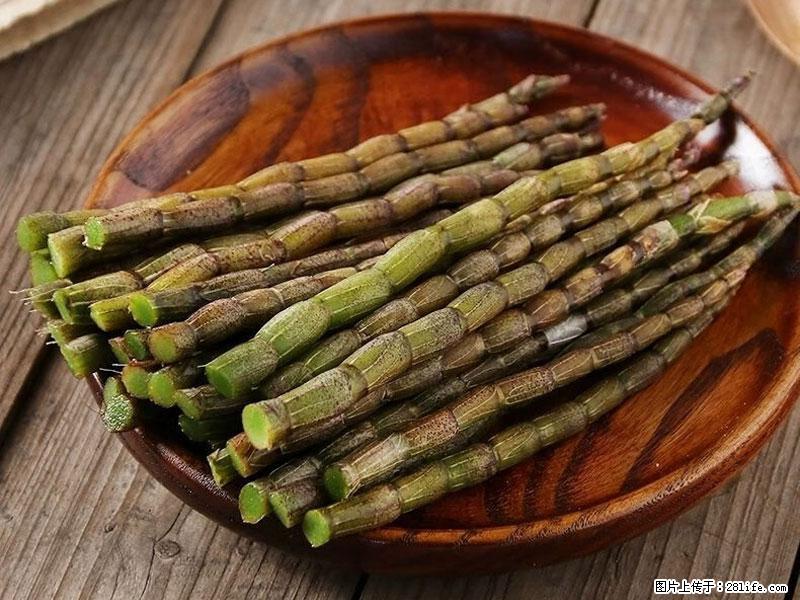 铁皮石斛的作用与功能主治 - 朔州生活资讯 - 朔州28生活网 shuozhou.28life.com