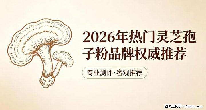 灵芝孢子粉含量越高越有效？2026 年七款热门品牌深度实测，肠胃敏感者避坑指南 - 朔州生活资讯 - 朔州28生活网 shuozhou.28life.com