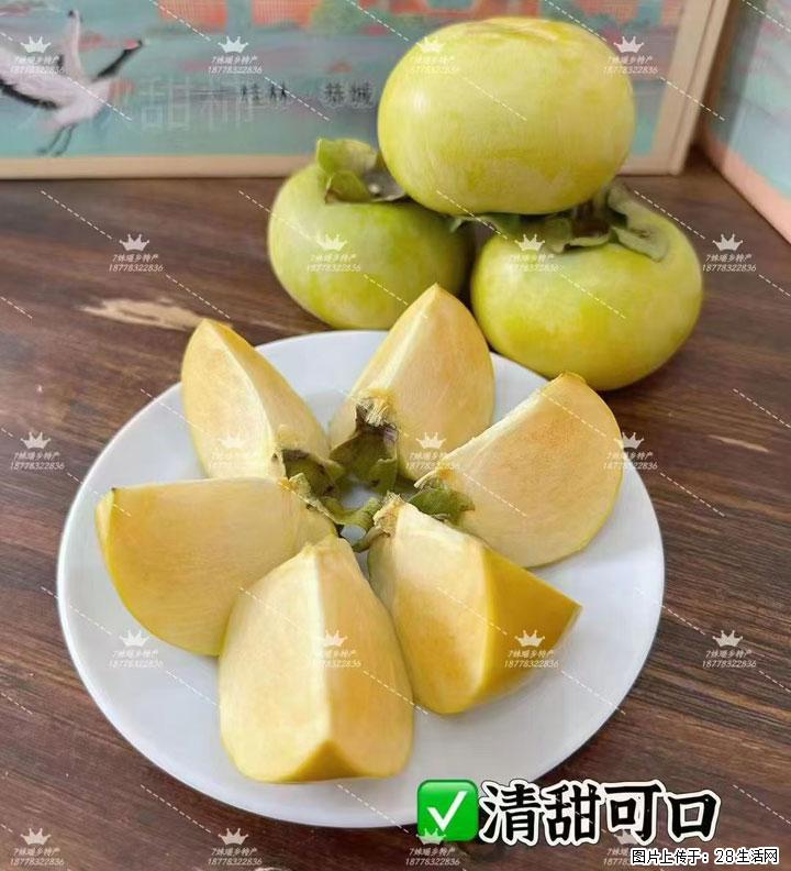 广西桂林平乐桥亭【红心猕猴桃】、【大秋甜柿】上市啦，欢迎各位新老客户下单（另有少量小果出售） - 朔州生活资讯 - 朔州28生活网 shuozhou.28life.com